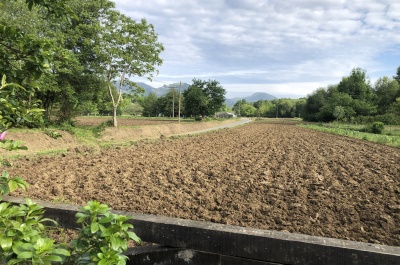 Huerta